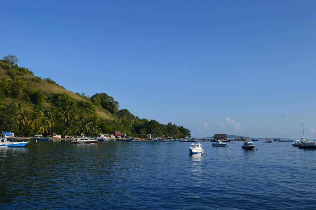 best-website-to-buy-bali-gili-lombok-ferry-tickets-online-directferries-com-service-5