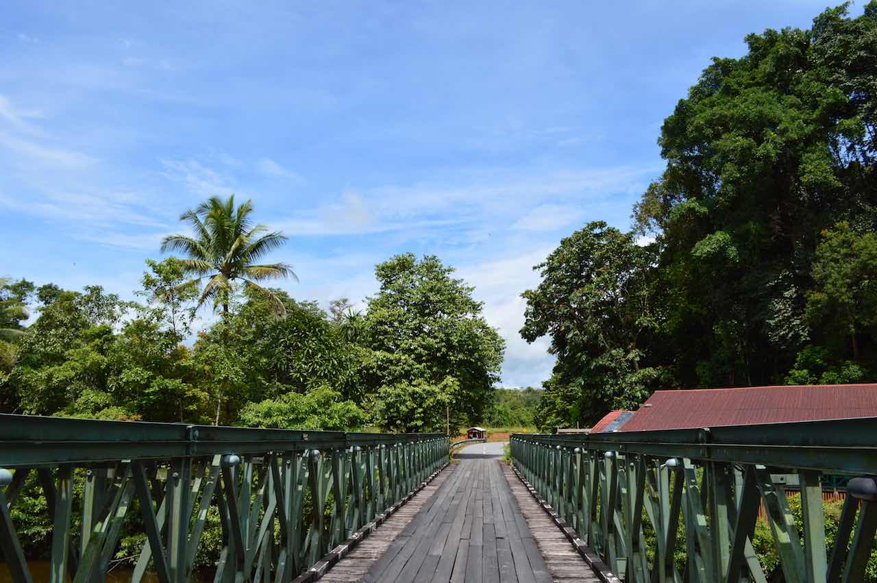 Mulu National Park 3-Day UNESCO Luxury Travel Guide | Borneo, Malaysia