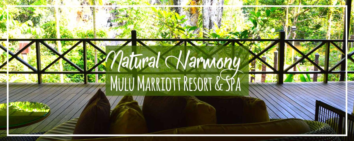 Mulu Marriott Resort and Spa Tour & Review | Luxury Oasis in Sarawak Borneo at Mulu Park